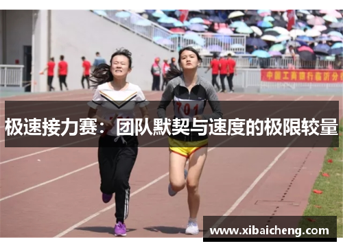 极速接力赛：团队默契与速度的极限较量