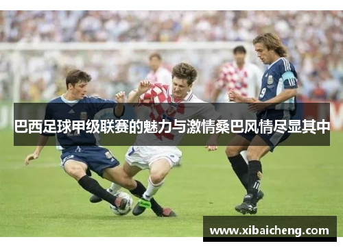 巴西足球甲级联赛的魅力与激情桑巴风情尽显其中 巴西足球甲级联赛的魅力与激情桑巴风情尽显其中